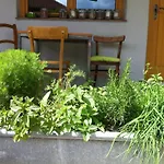 Traubengarten Winkler Kwatera prywatna Niederhollabrunn