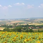 Traubengarten Winkler Kwatera prywatna Niederhollabrunn