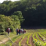 Homestay Traubengarten Winkler