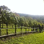 Homestay Traubengarten Winkler