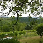 Traubengarten Winkler Niederhollabrunn