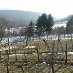 Kwatera prywatna Traubengarten Winkler *