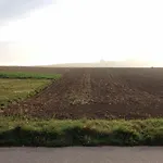 Traubengarten Winkler Kwatera prywatna Niederhollabrunn