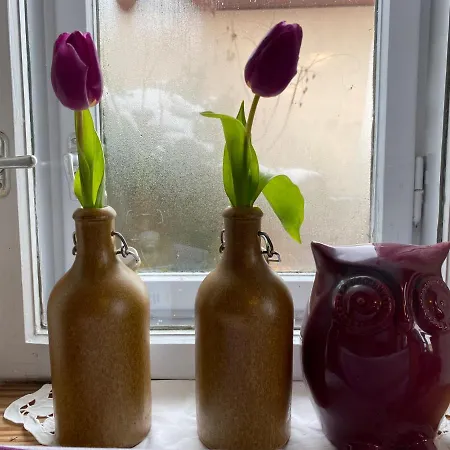 Privat bolig Traubengarten Winkler