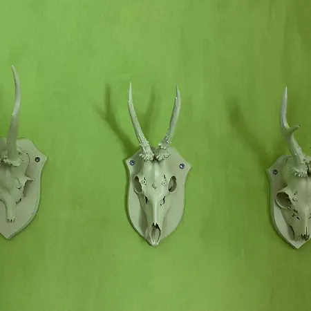 Traubengarten Winkler