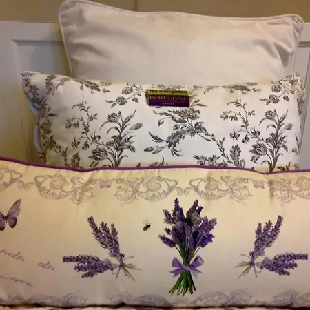 Traubengarten Winkler منزل للإقامة Niederhollabrunn