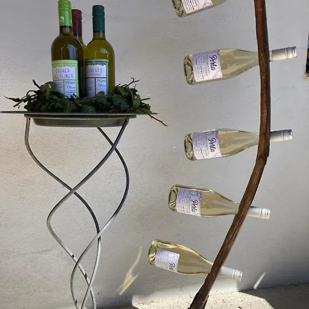 Traubengarten Winkler منزل للإقامة