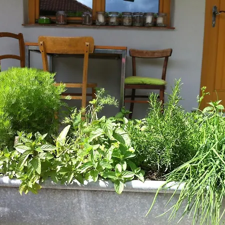 Traubengarten Winkler 홈스테이 Niederhollabrunn
