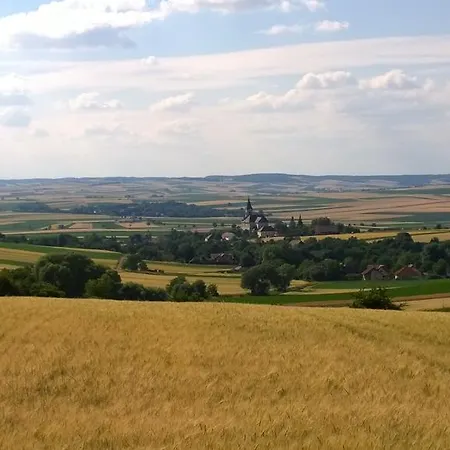 Habitación en casa particular Traubengarten Winkler