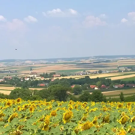 Traubengarten Winkler 홈스테이 Niederhollabrunn