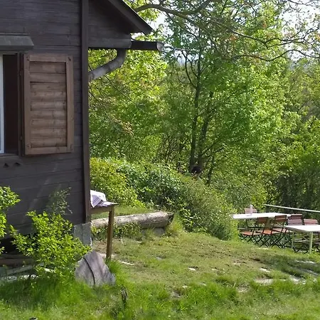 Traubengarten Winkler Kwatera prywatna Niederhollabrunn