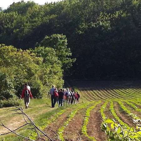 Habitación en casa particular Traubengarten Winkler
