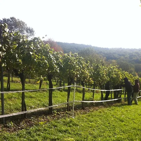 Habitación en casa particular Traubengarten Winkler