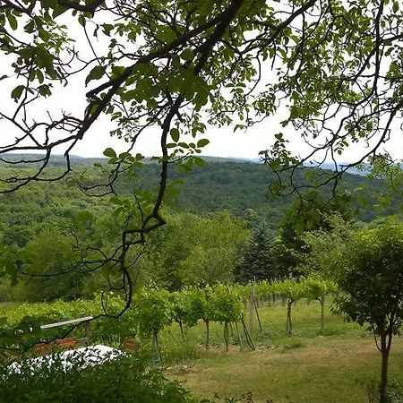 Traubengarten Winkler Niederhollabrunn