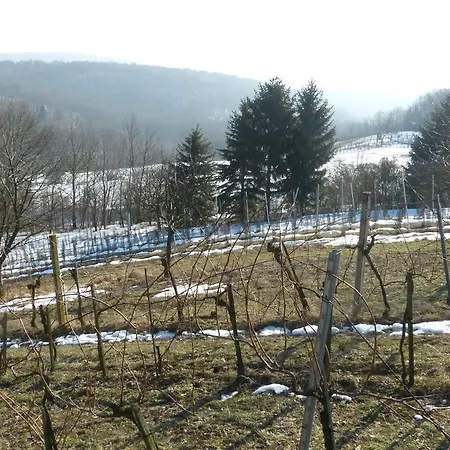 Kwatera prywatna Traubengarten Winkler *