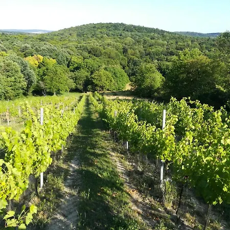 منزل للإقامة Traubengarten Winkler *