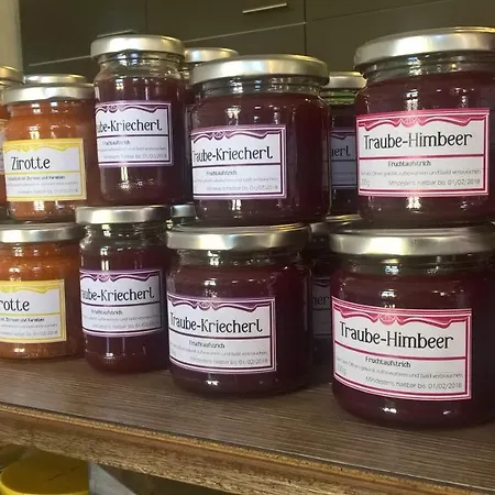 Traubengarten Winkler منزل للإقامة *