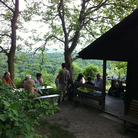 Traubengarten Winkler Niederhollabrunn