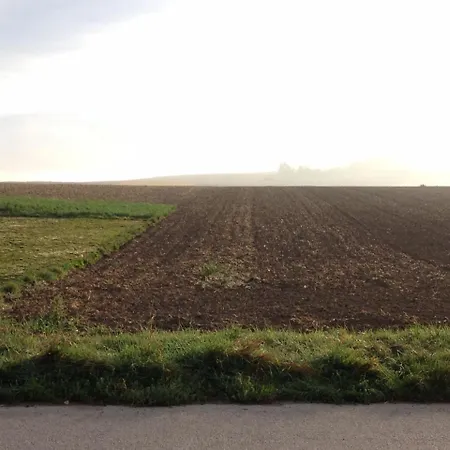 Traubengarten Winkler Kwatera prywatna Niederhollabrunn