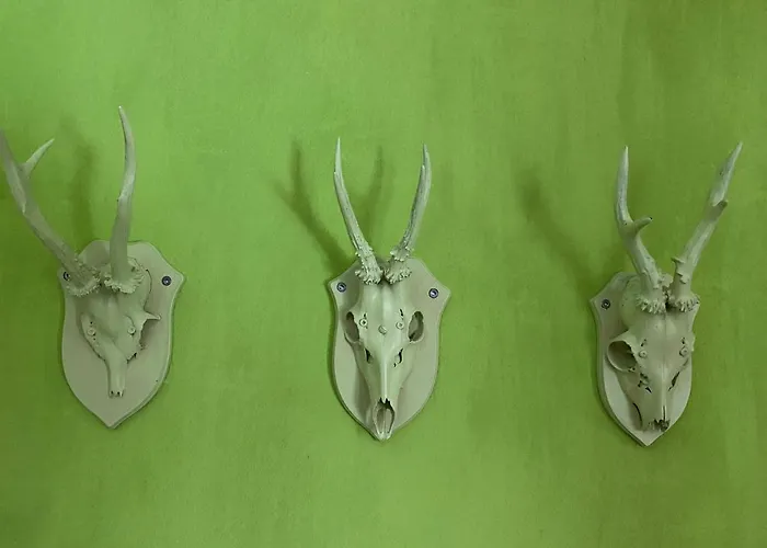 Traubengarten Winkler