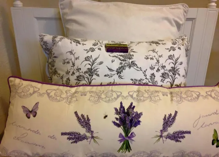 Traubengarten Winkler Privat bolig Niederhollabrunn