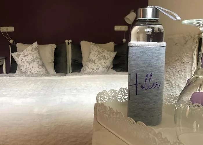 Traubengarten Winkler Privat bolig Niederhollabrunn