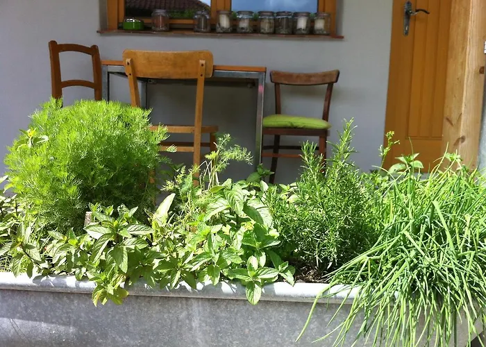 Traubengarten Winkler Δωμάτια σε οικογενειακή κατοικία Niederhollabrunn