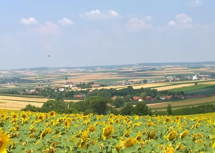 Traubengarten Winkler Pansiyon Niederhollabrunn