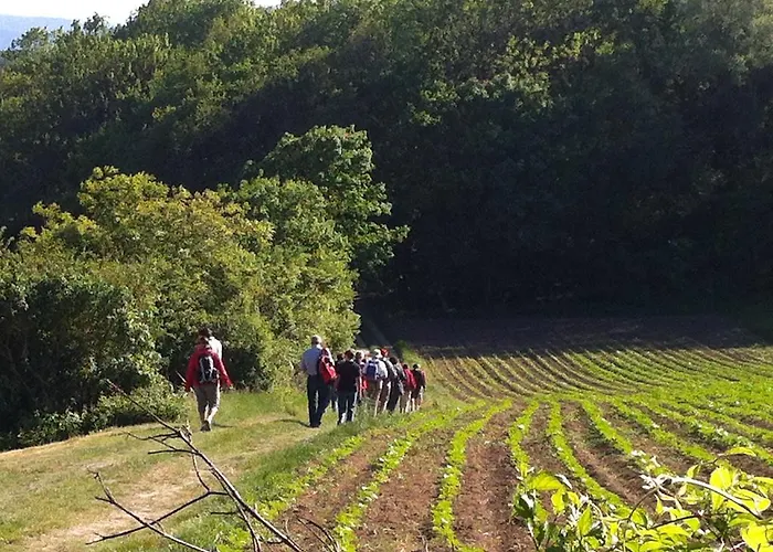 Δωμάτια σε οικογενειακή κατοικία Traubengarten Winkler