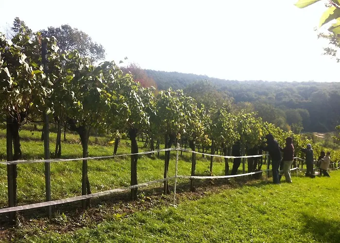 Δωμάτια σε οικογενειακή κατοικία Traubengarten Winkler