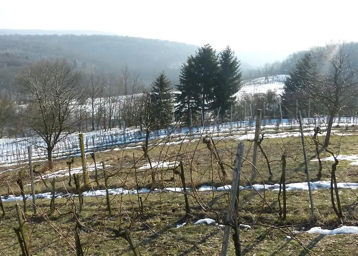 Δωμάτια σε οικογενειακή κατοικία Traubengarten Winkler *