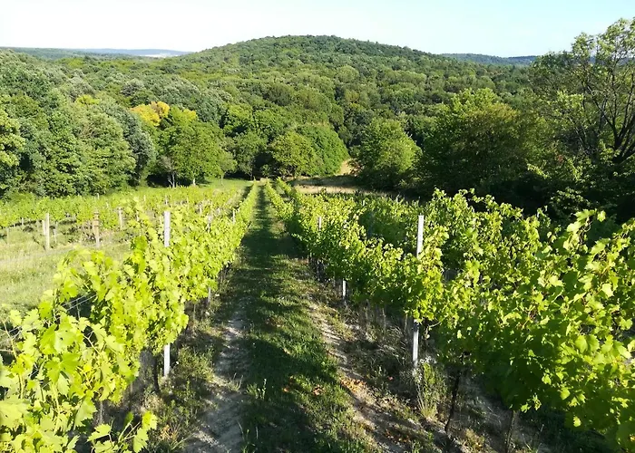 Privat bolig Traubengarten Winkler *