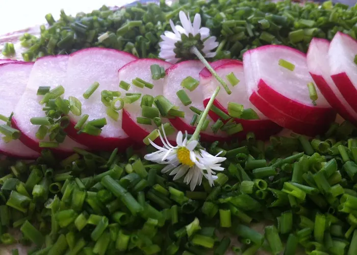 Traubengarten Winkler