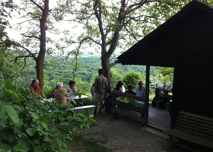 Traubengarten Winkler Niederhollabrunn