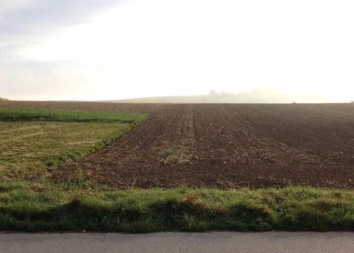 Traubengarten Winkler Δωμάτια σε οικογενειακή κατοικία Niederhollabrunn